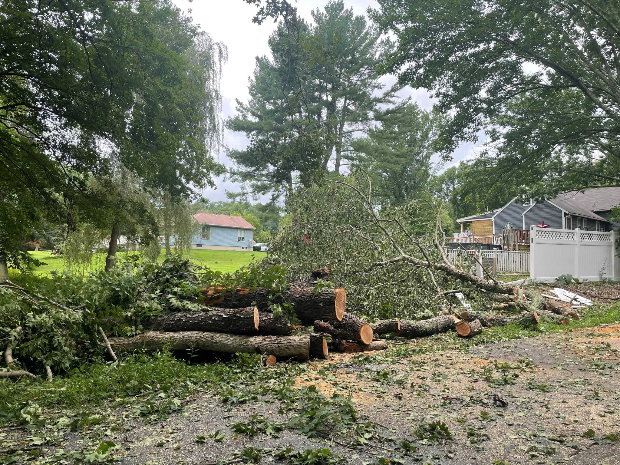 Hurricane Ida predicted to bring winds, heavy rain to CT this week - Vimarsana News