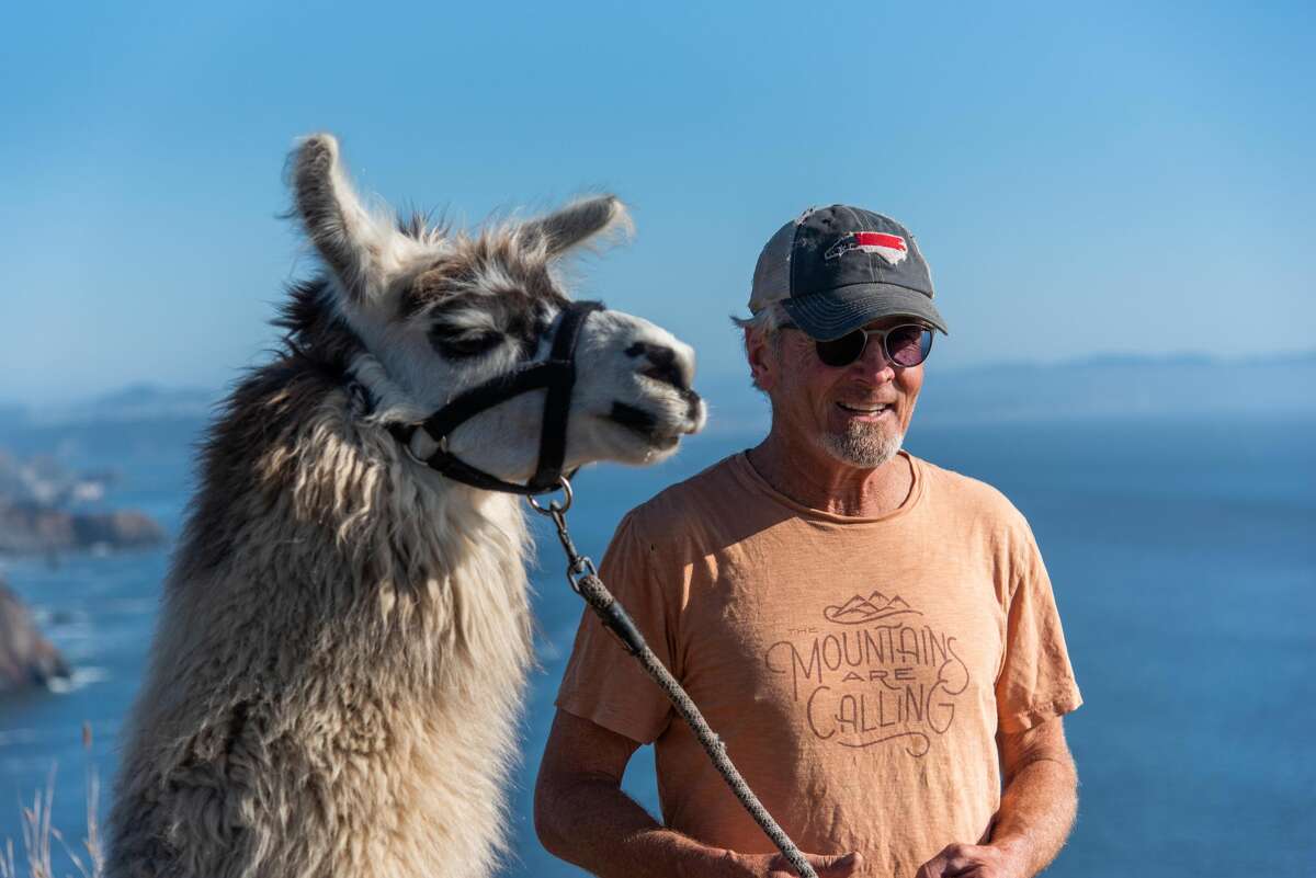 Meet the Bay Area man who takes his llama for beach walks.