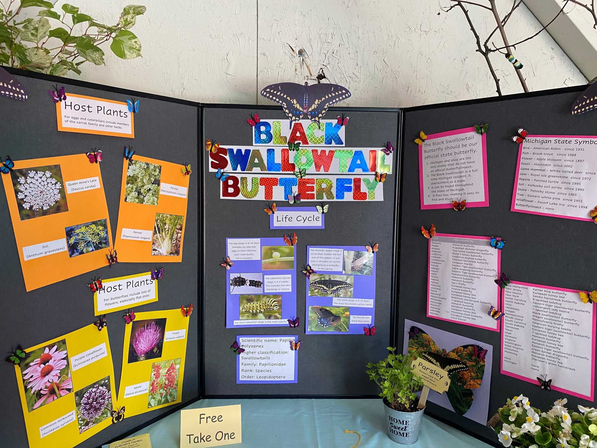 Garden club earns ribbon at Manistee County Fair - Vimarsana News