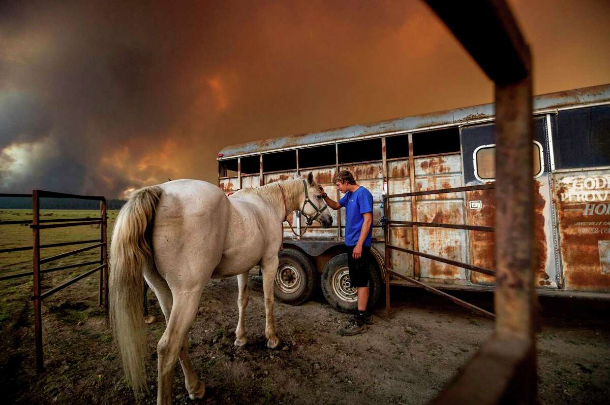 Hunter McKee pets Rosy after helping evacuate the horse to the edge of Lake Almanor as the Dixie Fire approached Chester on Aug. 3. Officials had issued evacuation orders for the town earlier in the day as dry and windy conditions led to increased fire activity.