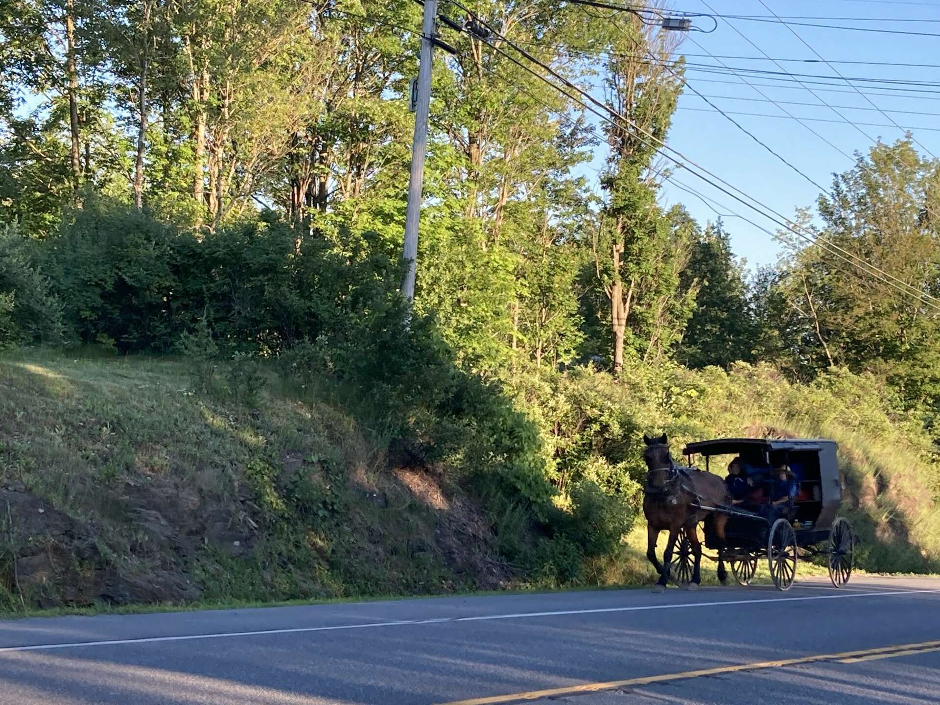 Amish presence grows in Washington County