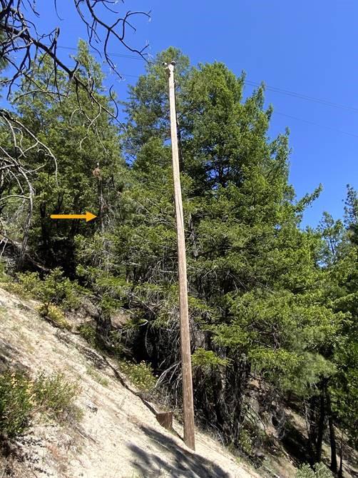 PG&E distances itself from drone that interfered with initial efforts to contain Dixie Fire - Vimarsana News