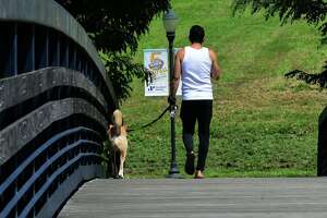 How Norwalk plans to spend $2M on park and playground upgrades