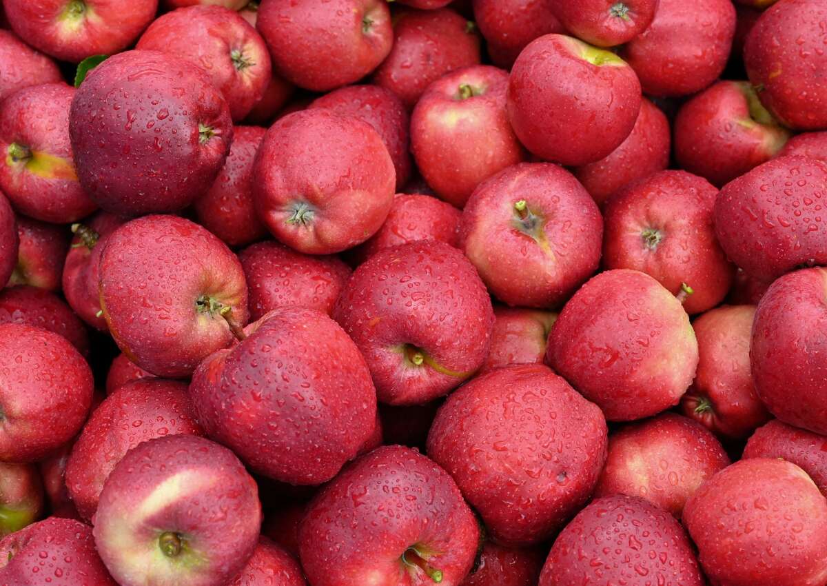 "Gala" variety apples are perfect for use in pies and in apple sauces, but are also great to eat as is. Gala are in season in August and Liberty says they are "very sweet with a lively kick."