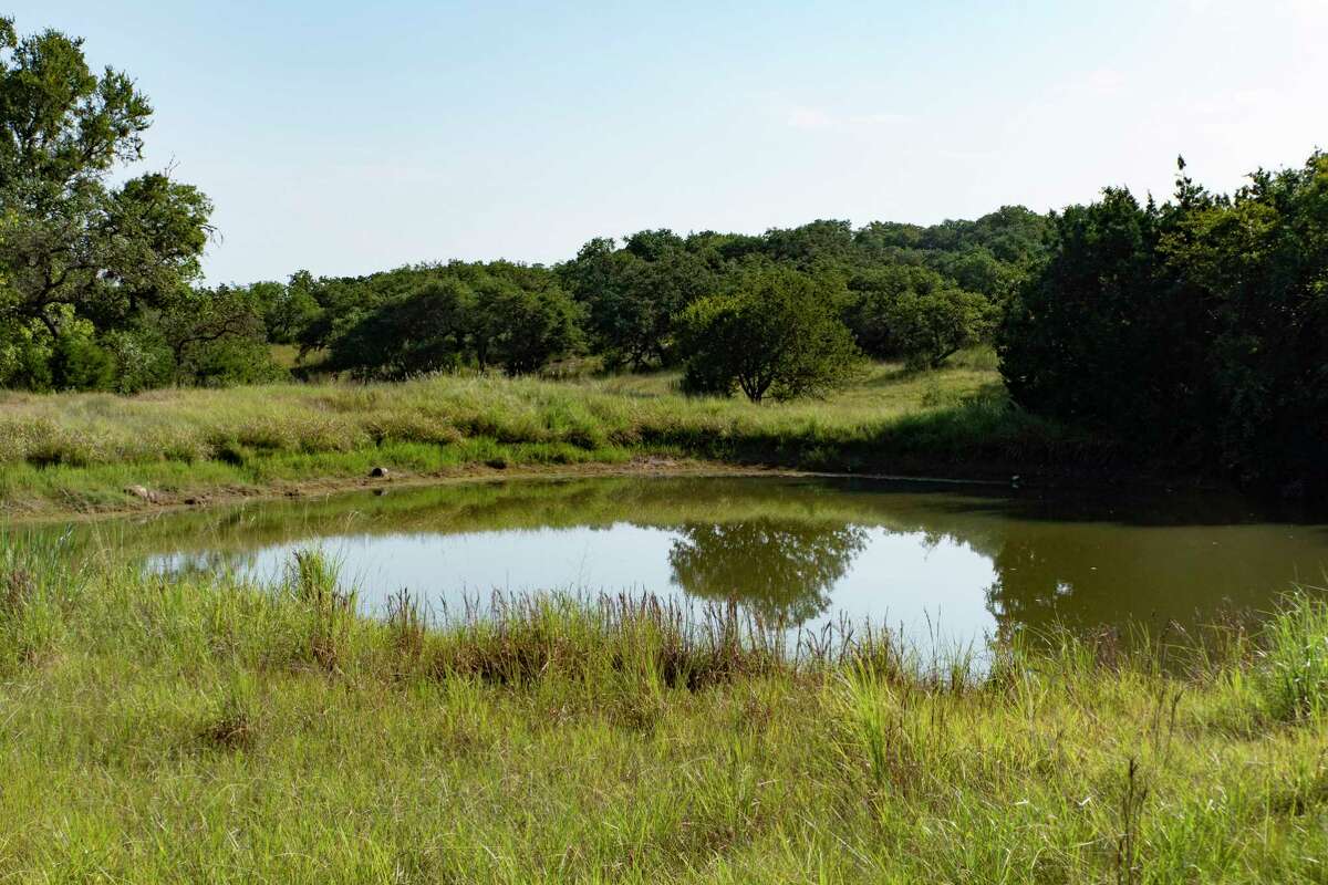 Texas Parks and Wildlife votes preservation over development for Honey