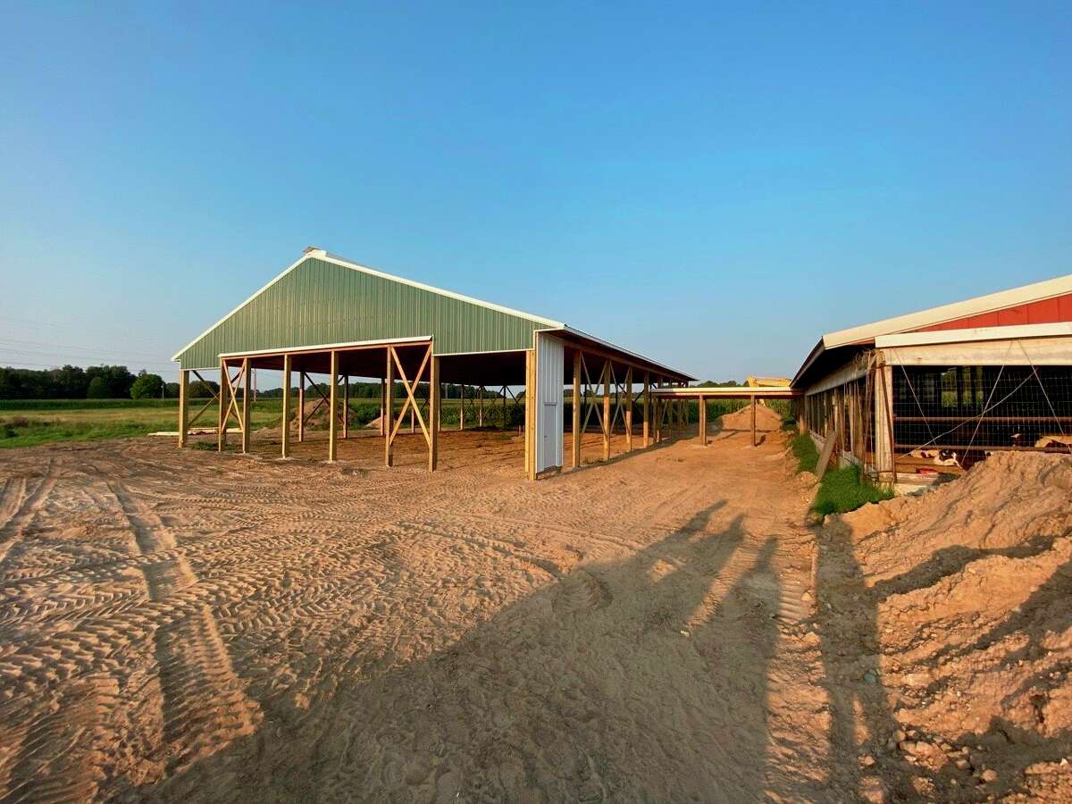 Reed City farmers use robotics to feed animals