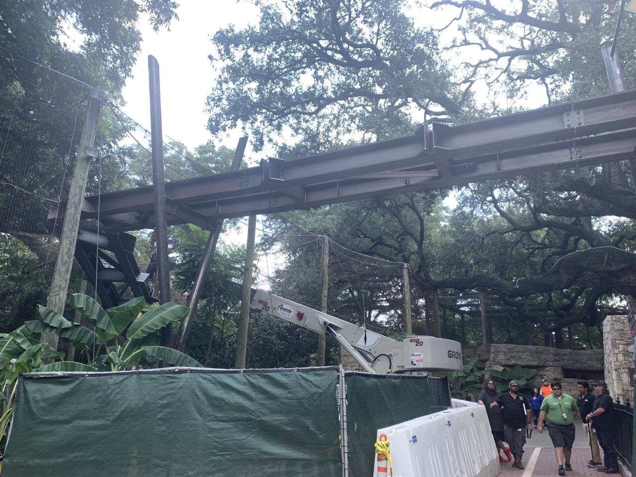 San Antonio one-of-a-kind jaguar skywalk is taking shape - Vimarsana News