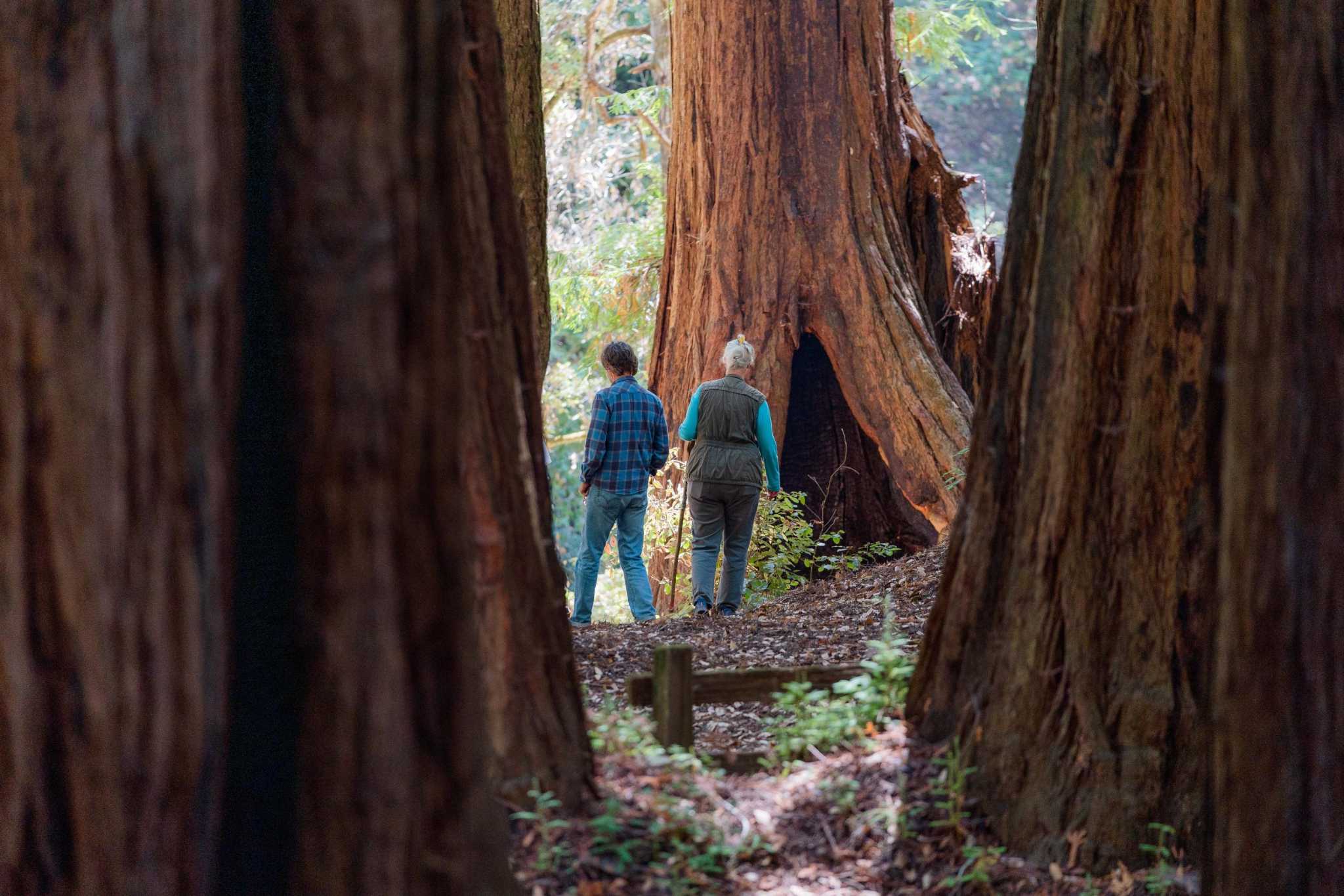 One year after fires parks in Santa Cruz Mountains reopen and