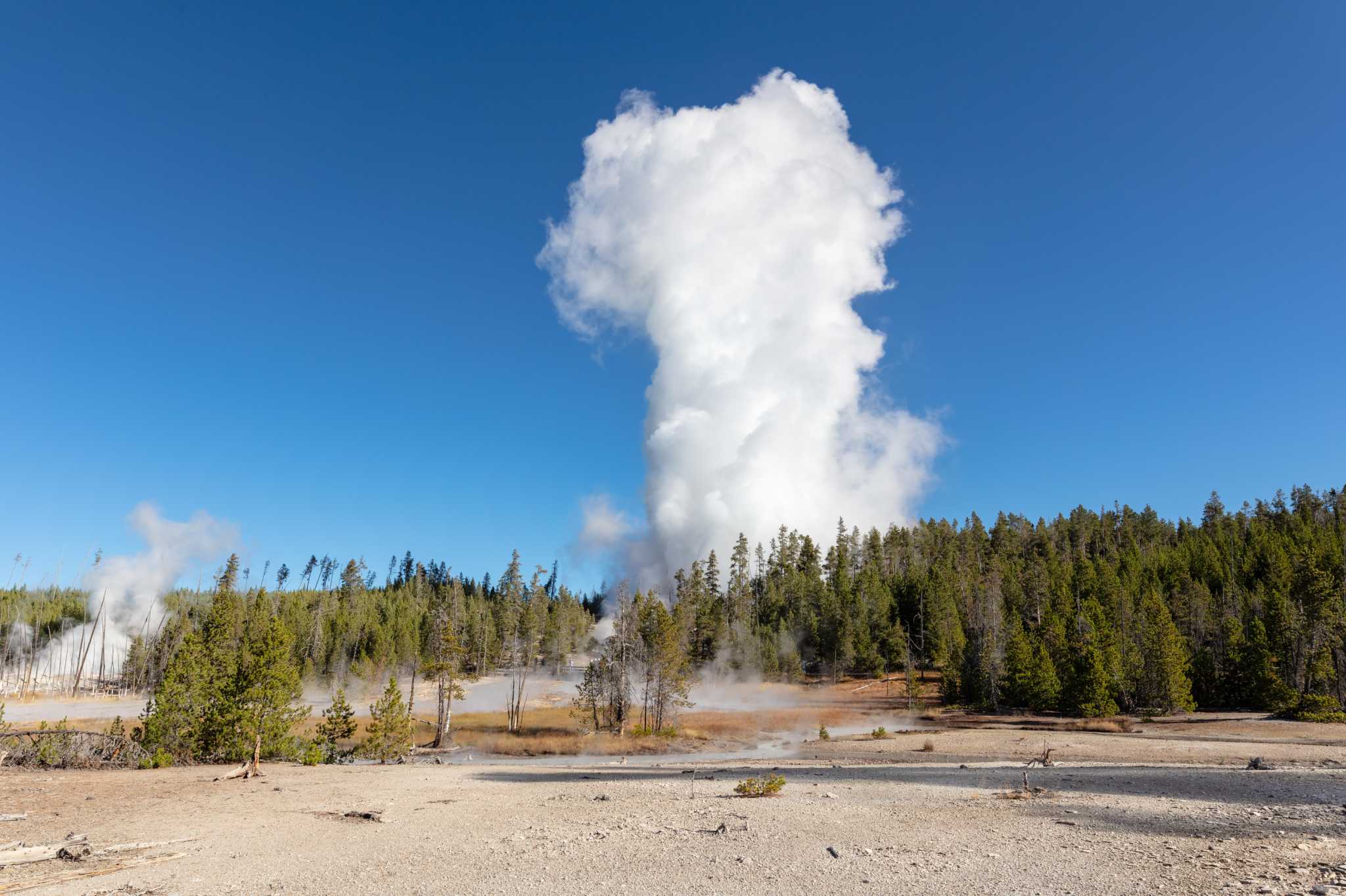 New Hartford woman sentenced to jail after straying off boardwalk at Yellowstone National Park - Vimarsana News
