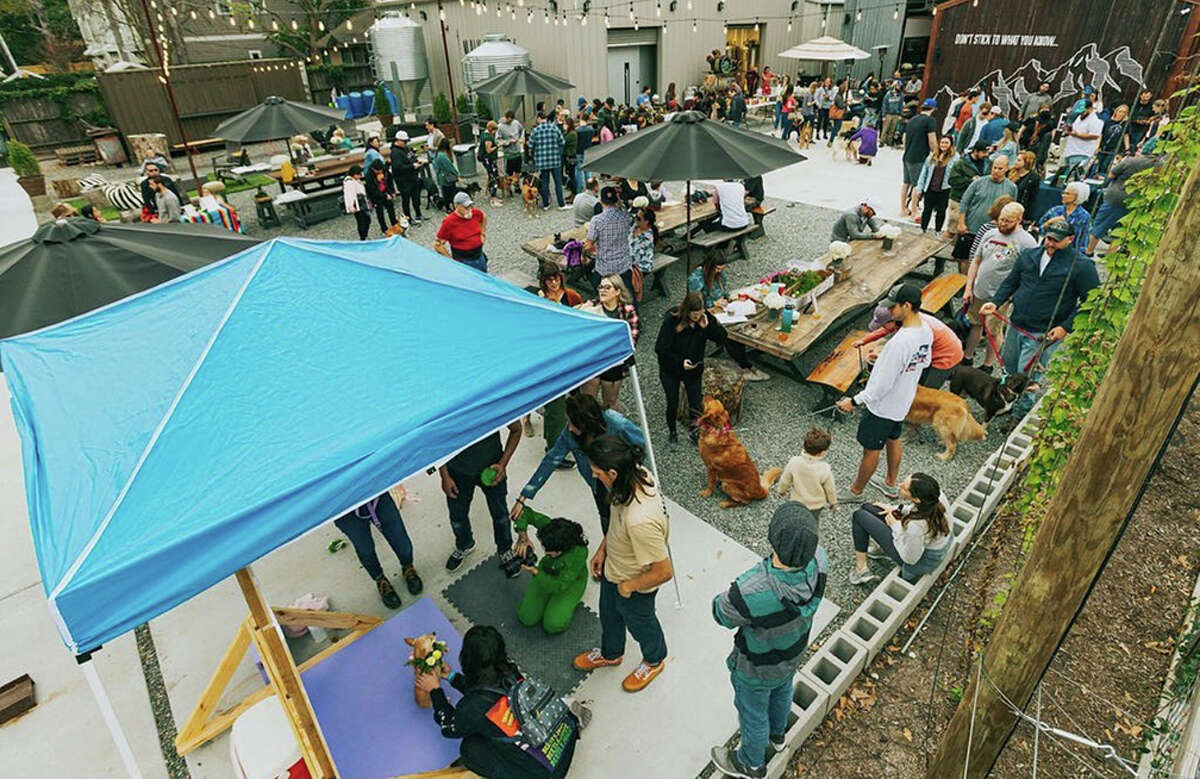 Walking Stick Brewing Company prides itself on welcoming all in the Houston community–dogs included–and holds fundraisers to raise money for local animal charities.