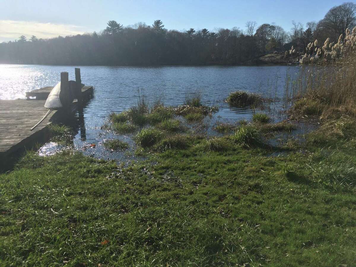 Flooding on Dave Berggren’s property in Old Lyme last year. Berggren said the rising water on Black Hall Pond is the result of beavers that build dams on a nearby property owned by the Old Lyme Land Trust.