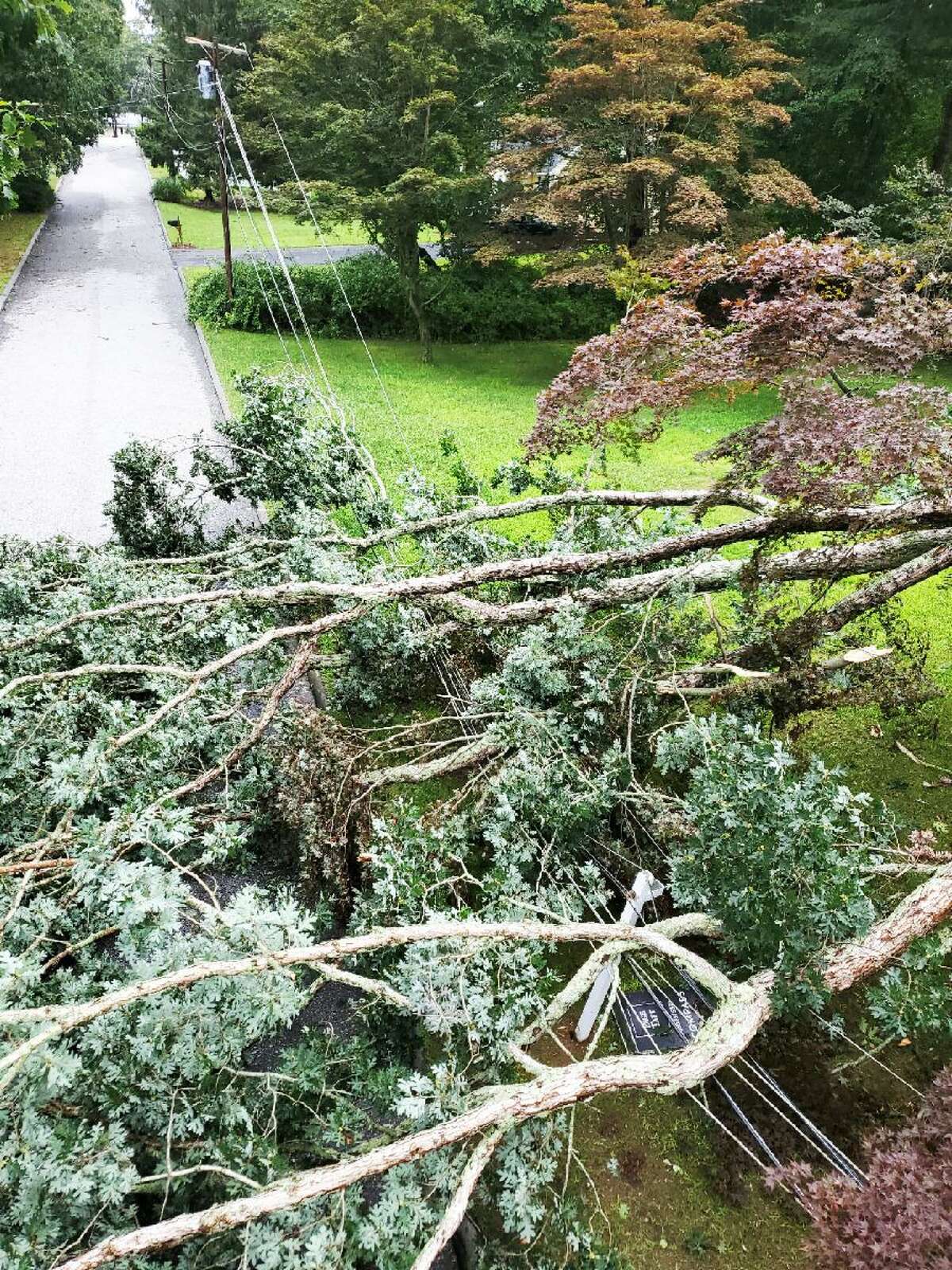 A tree that fell onto electric distribution power lines and across the road in Old Lyme during Tropical Storm Henri caused a public safety issue.