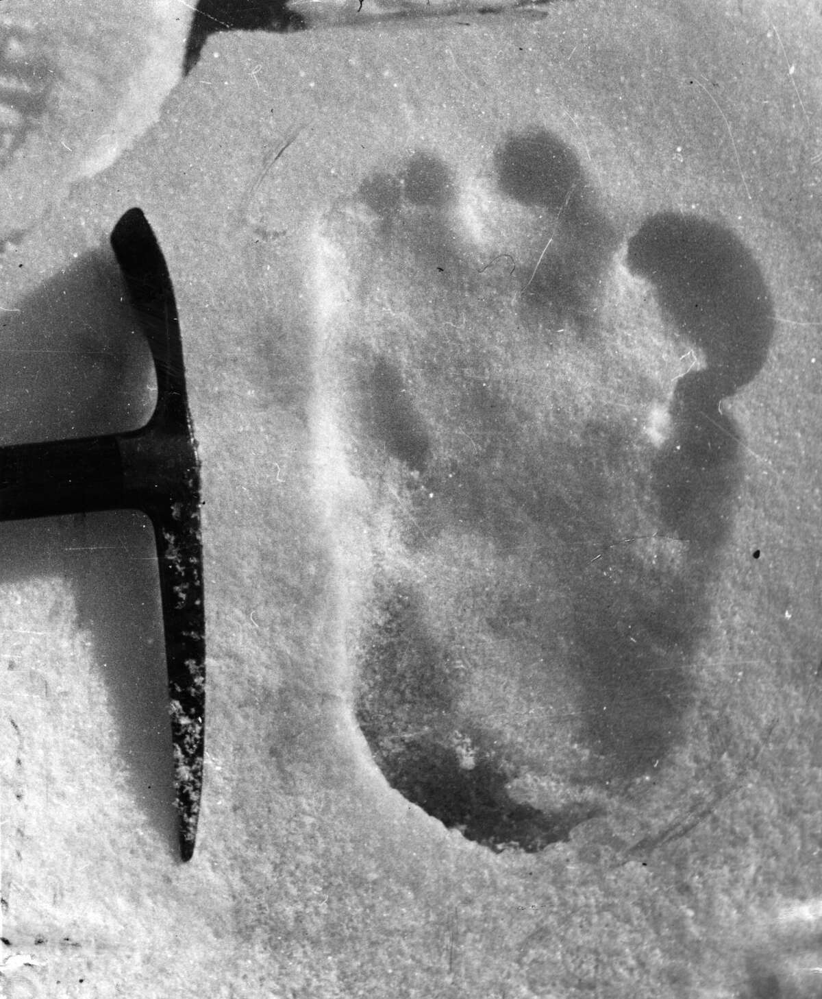 13th December 1951: The footprint of the Abominable Snowman, taken near Mount Everest. (Photo by Topical Press Agency/Getty Images)