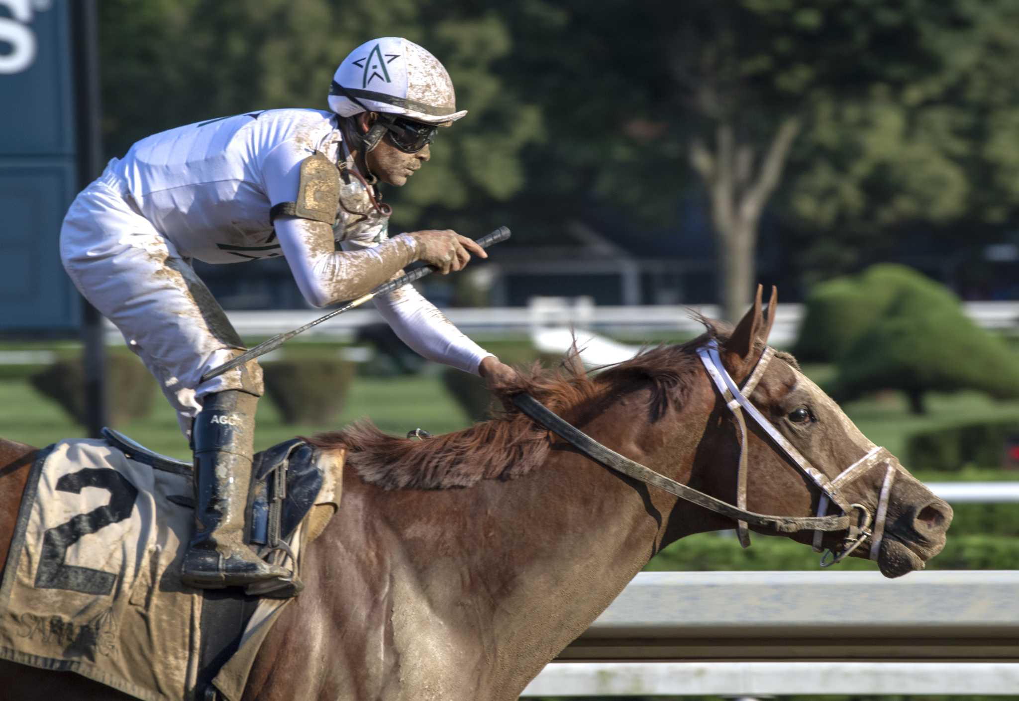 Hall of Fame trainers tangle in Jockey Club Gold Cup