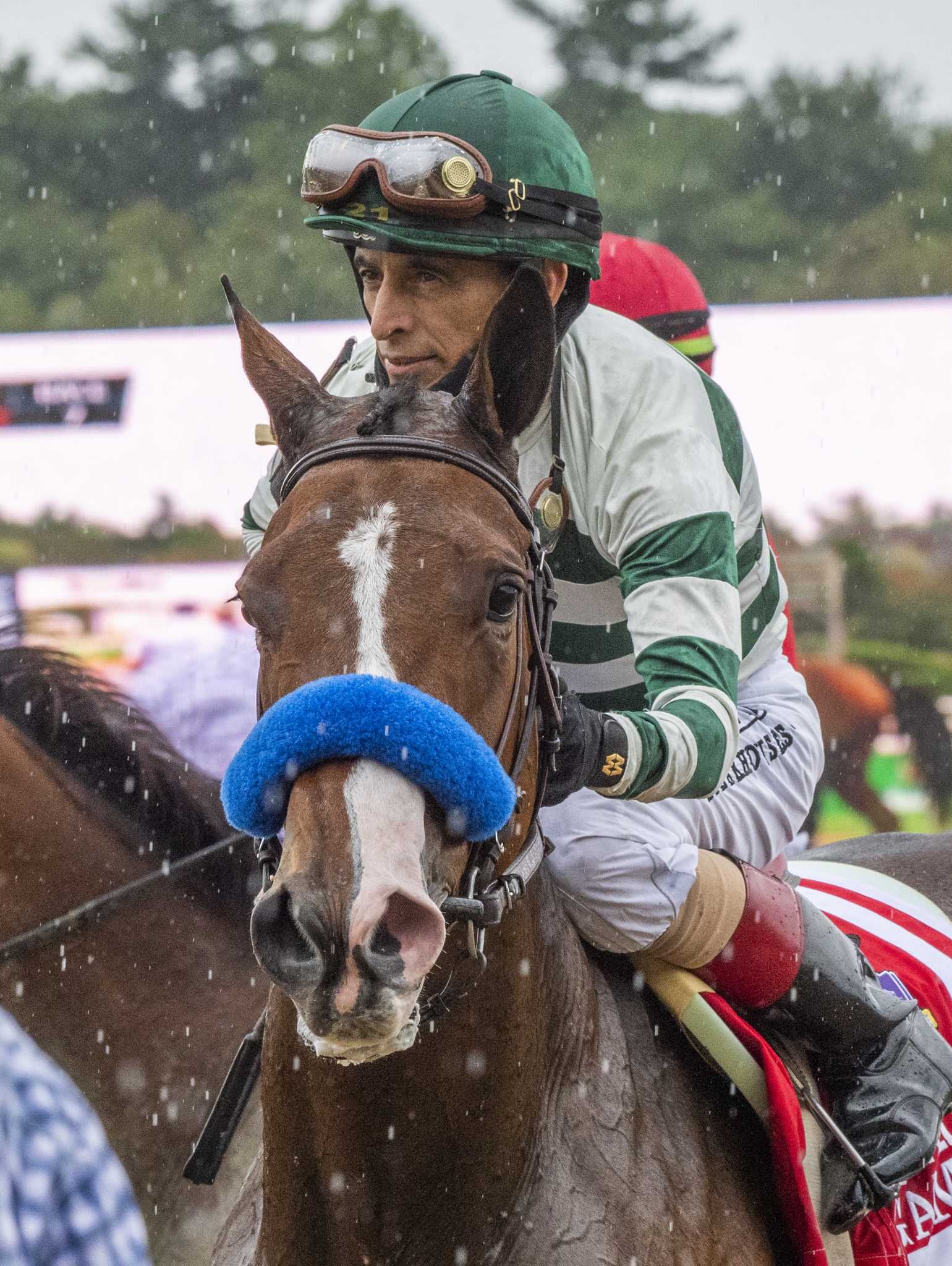 Essential Quality is horse of the hour at Saratoga Race Track - Vimarsana News