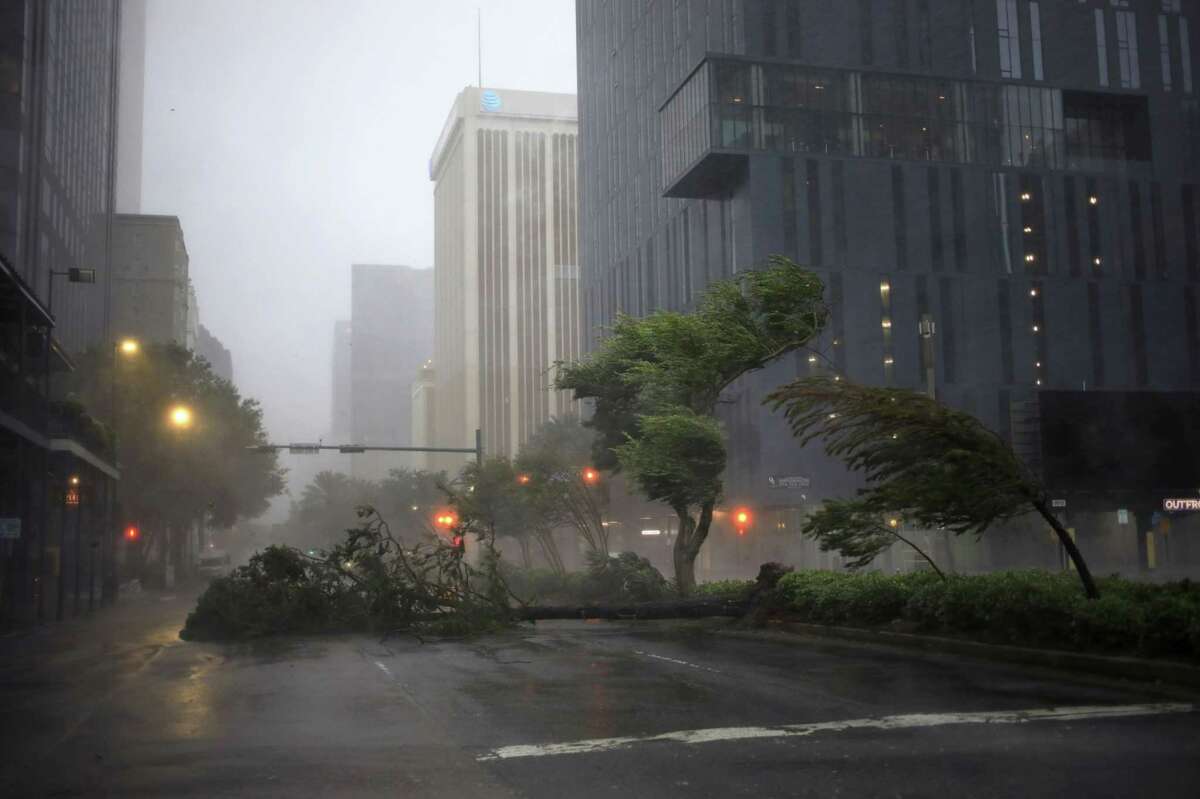 Trees are blown by gales from Hurricane Ida in downtown New Orleans on Aug. 29, 2021.