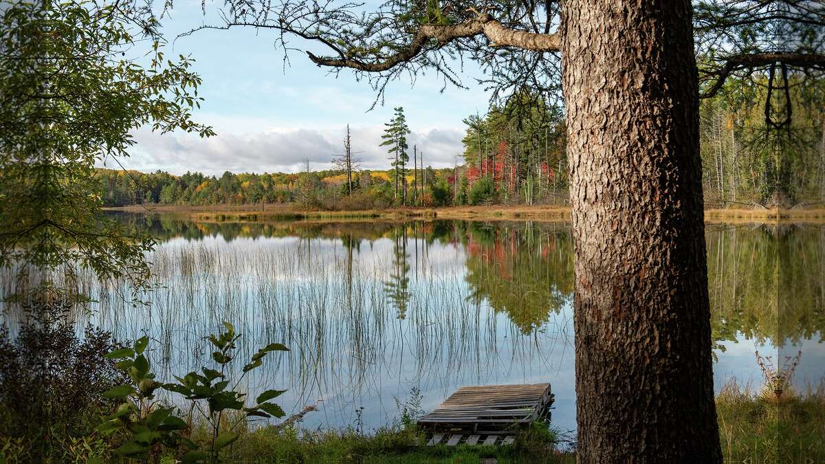 Nation's first carbon offset project on state forest land is in Michigan