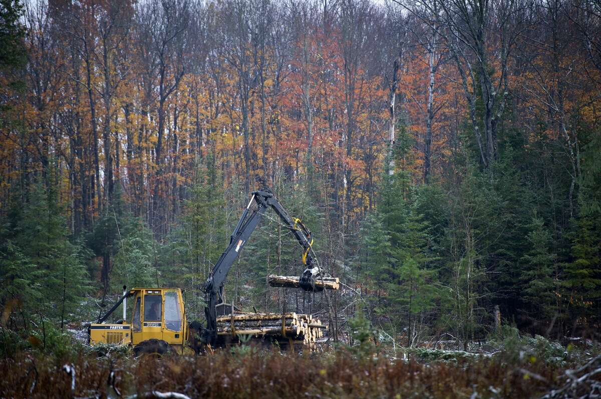 Nation's first carbon offset project on state forest land is in Michigan