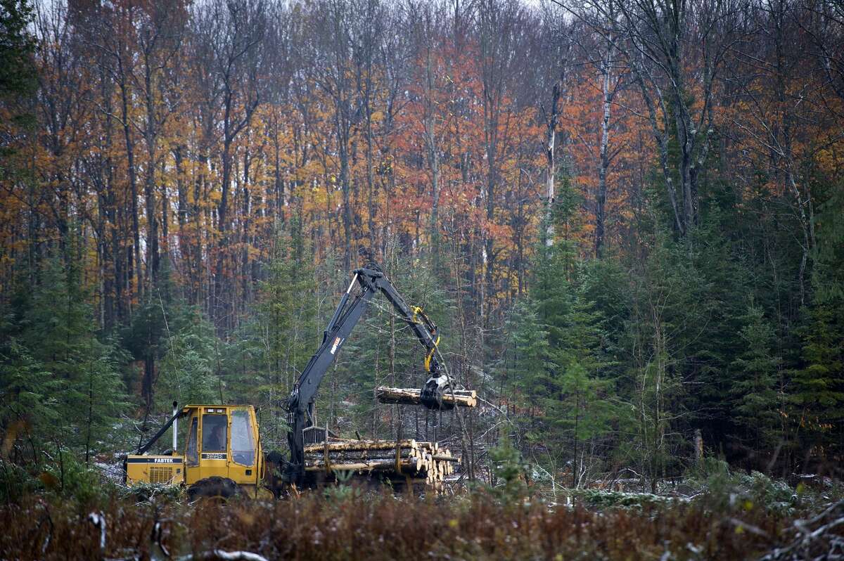 Nation's First Carbon Offset Project On State Forest Land Is In Michigan