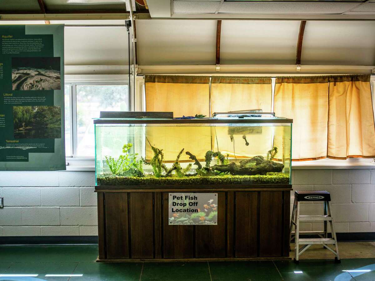 The Discovery Center in San Marcos features a location in its headquarters to drop off unwanted pet fish.