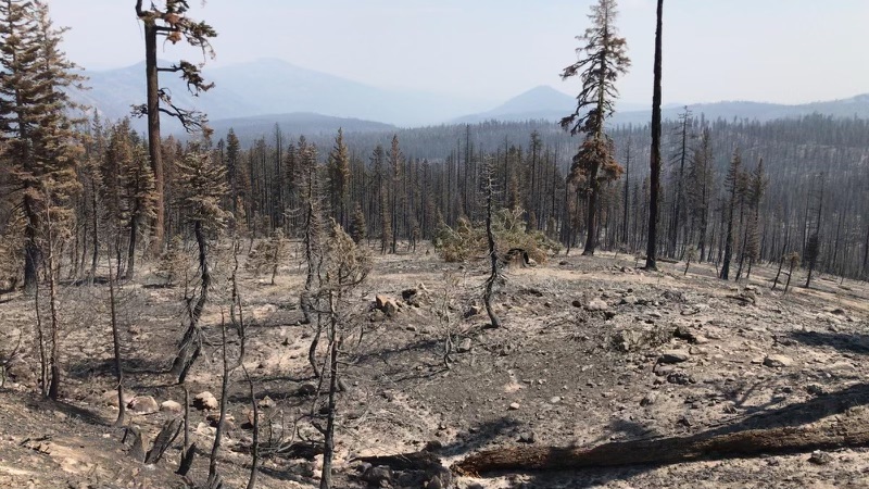 Dixie Fire engulfs more than half of Lassen Volcanic National Park