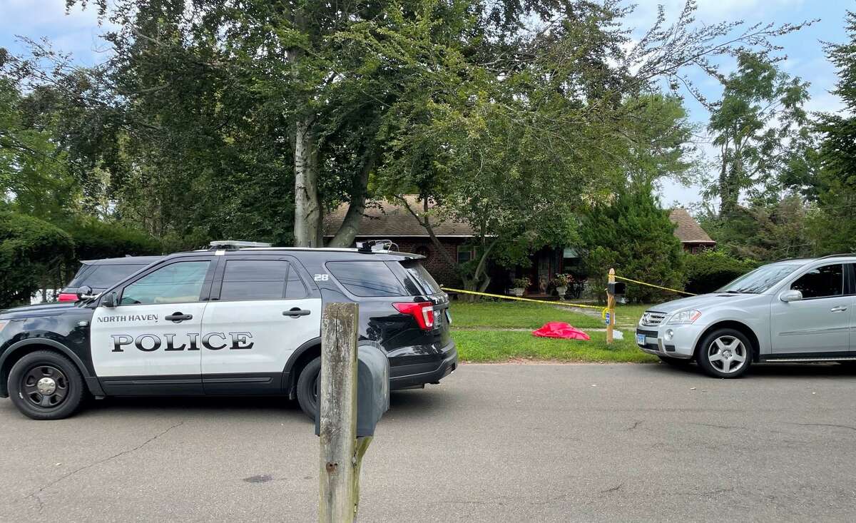 North Haven police ID 2 brothers found dead in home
