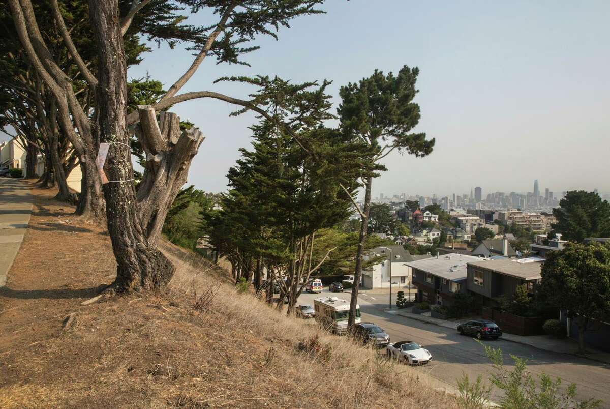 A view of the hillside in Diamond Heights neighborhood where there is a controversial proposal to build about 30 high end homes next to the affordable housing units. In San Francisco, Calif. On Friday August 27, 2021.