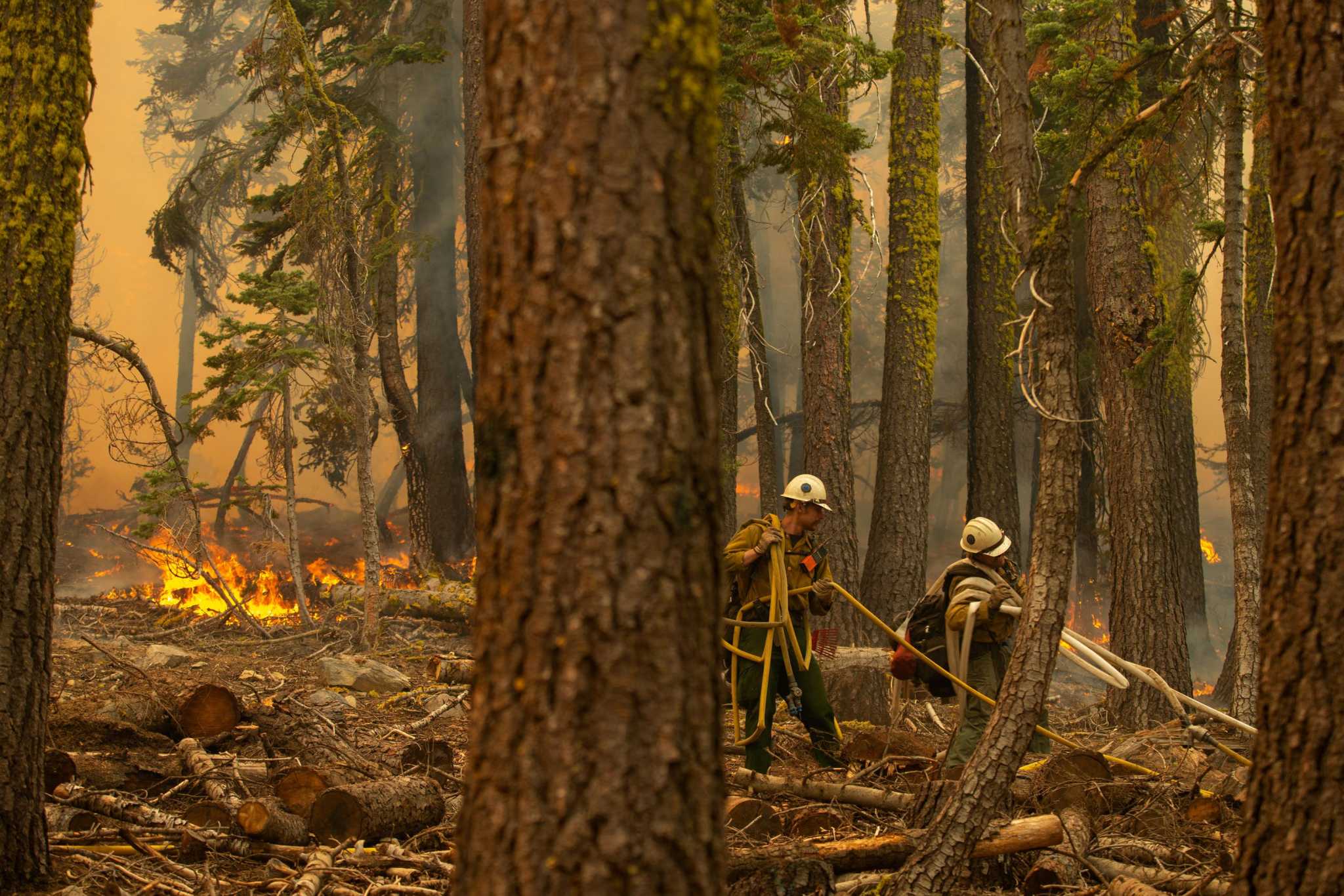 Shutdown Of California’s National Forests Reportedly Extended Statewide 