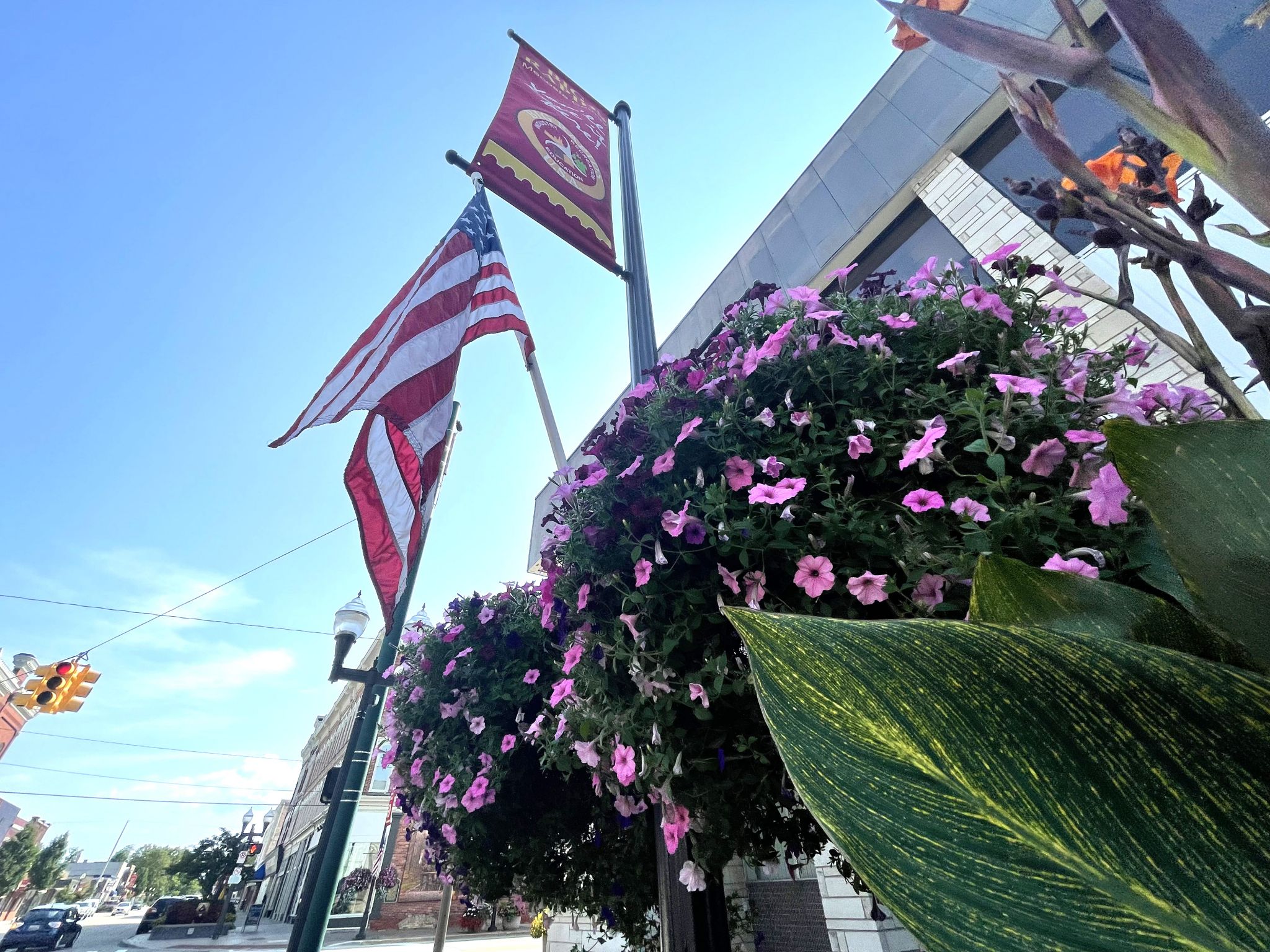 Flowers bring color to downtown Big Rapids