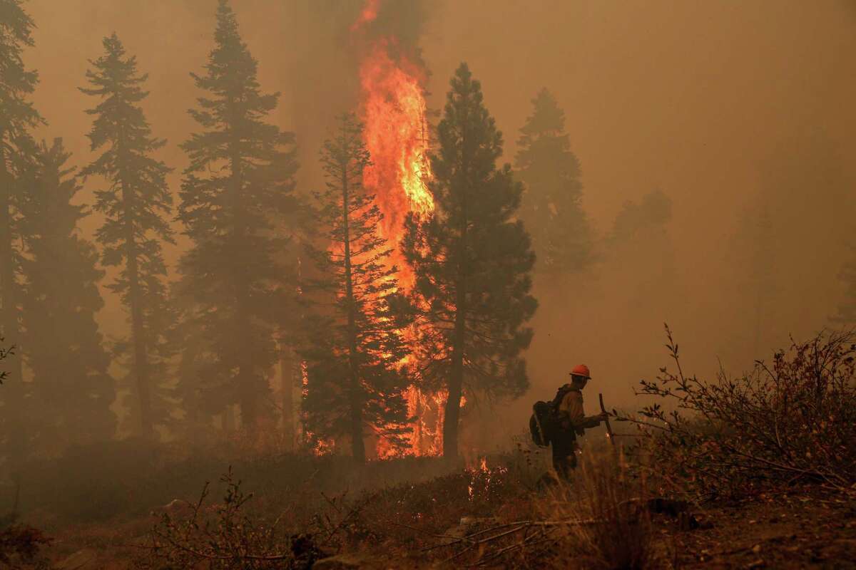 As a group of trees begin to catch fire, Mark Salerno of Iron Mountain hand crew sets fire to create a fire break near Echo Summit Lodge near South Lake Tahoe, Calif. on Monday, Aug. 30, 2021. The threat of encroaching flames from the Caldor Fire set in place an evacuation order on the city of South Lake Tahoe.