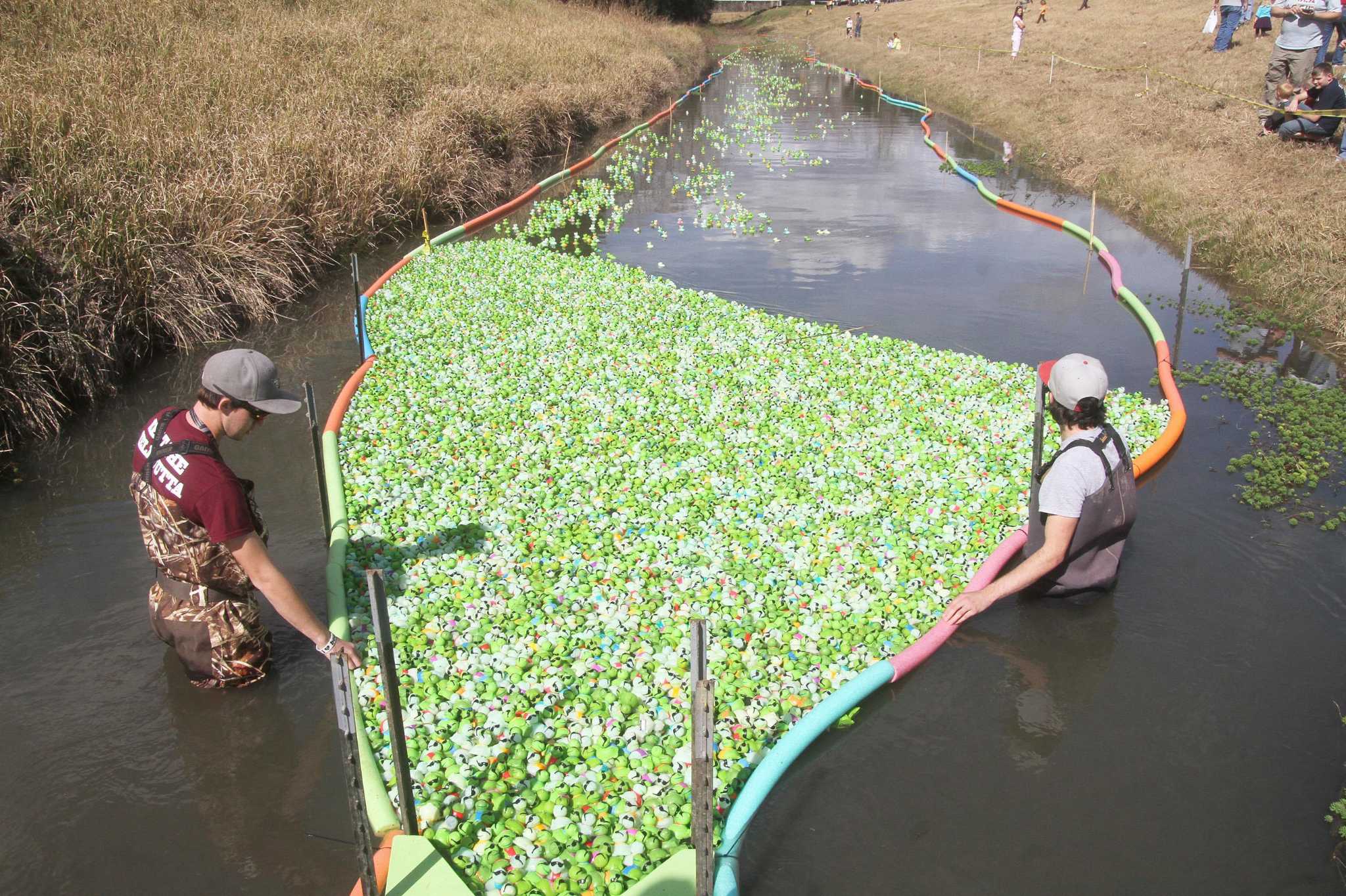 Alvin ISD Education Foundation Expect Over 15K Turtles At Annual Race