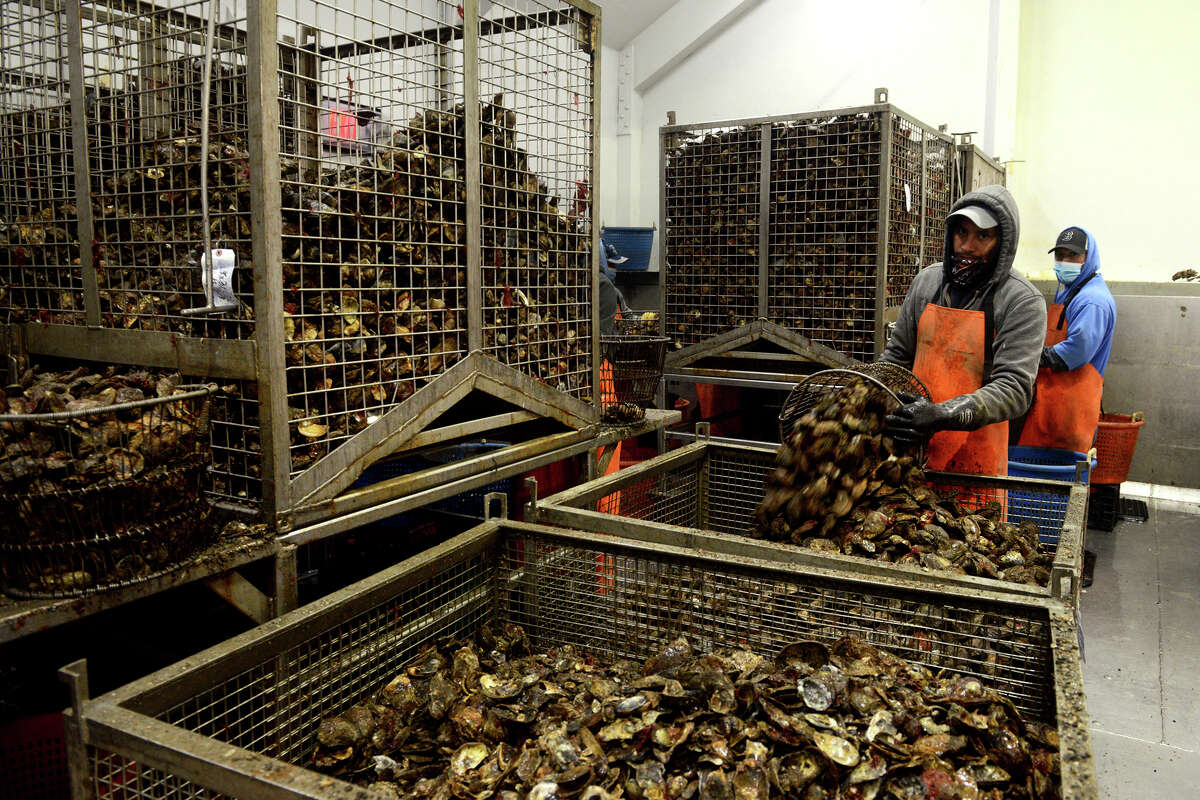 Stratford seafood spot Copps Island Oyster Shack opens at marina