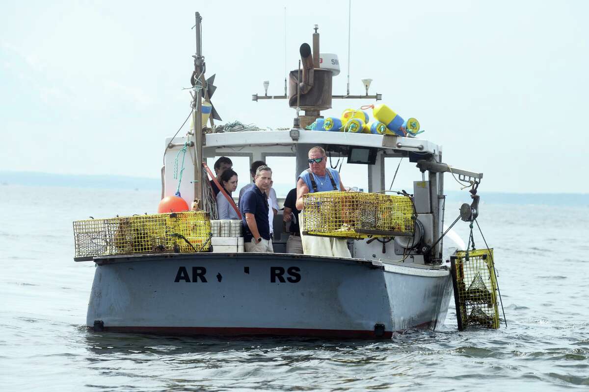 Lobsterman Mike Kalaman pulls in his traps on Long Island Sound, off the coast of Norwalk, Conn. Aug. 31, 2021. Kalaman was joined by a group of state legislators as he made his harvesting rounds on Tuesday.