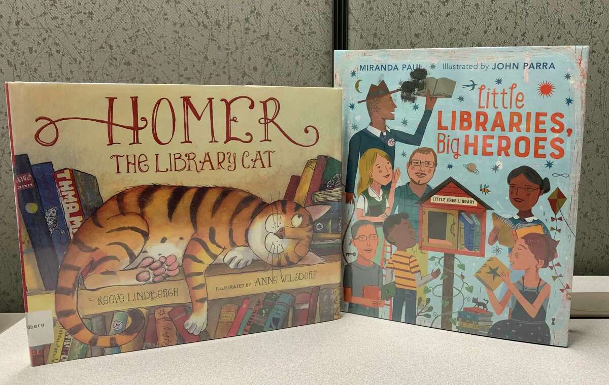 Where do you go to get some peace and quiet?' Homer the Cat answers that question in "Homer the Library Cat" by Reeve Lindbergh. Guess where he ends up? Older children might enjoy (Courtesy photo)