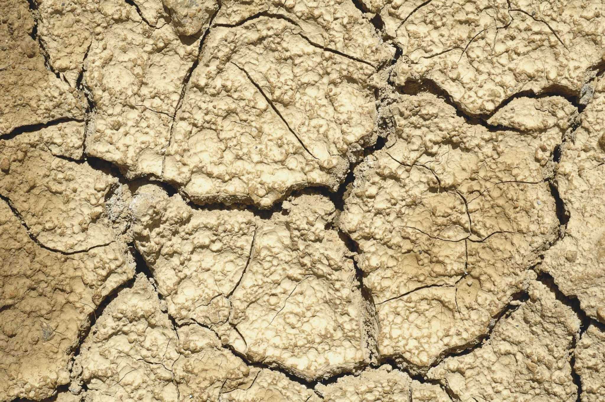 Small Business Administration offers disaster loans for drought