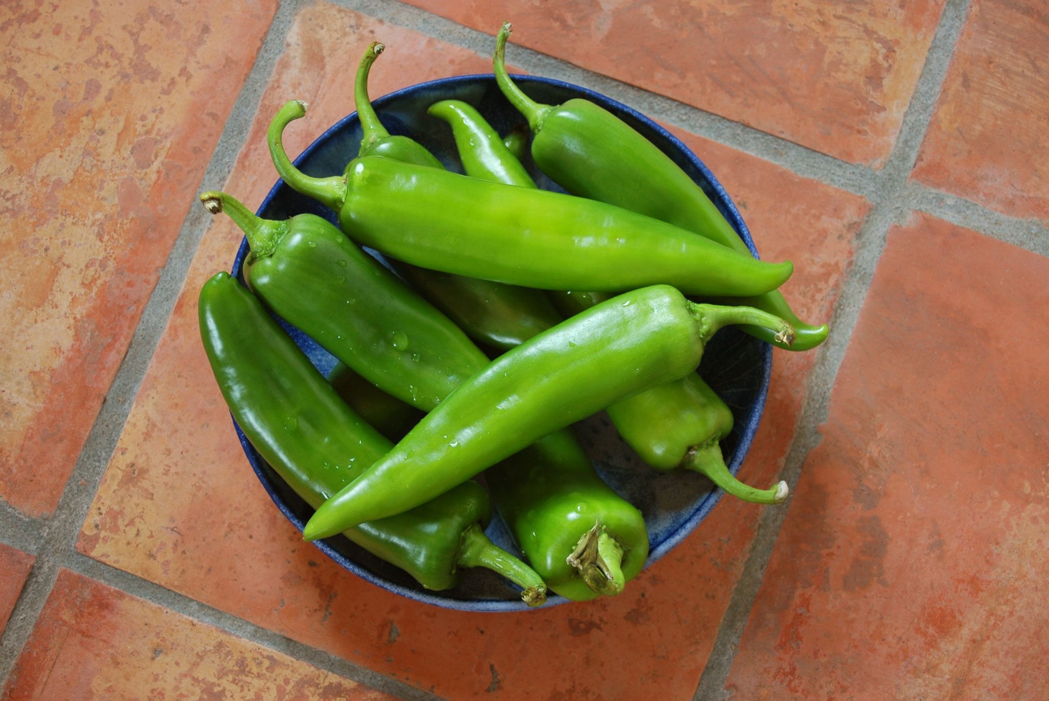 are poblano peppers bad for dogs