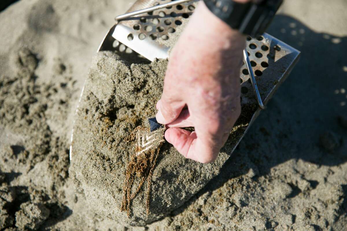 Metal detector Marshall Smith picks up a metal earring he found on August 26, 2021 while on a leisure trip to Ocean Beach, San Francisco.