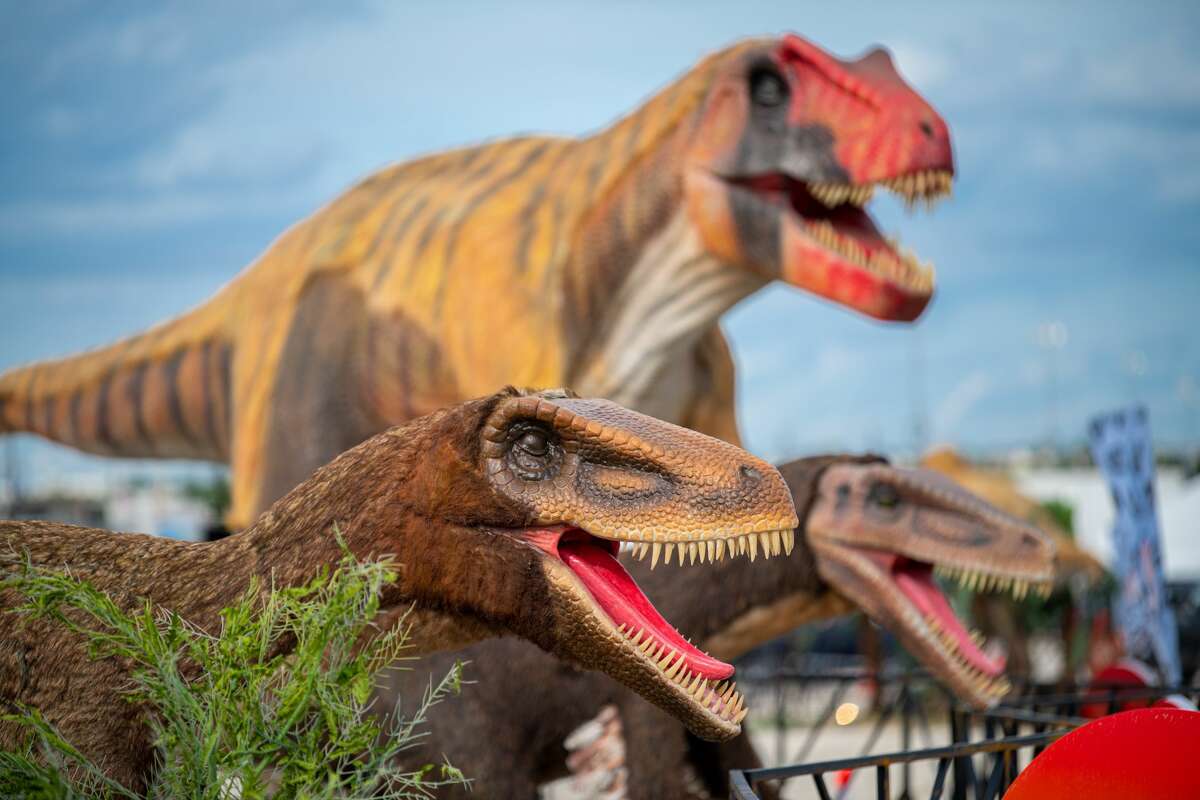 More than 70 photorealistic dinosaurs are ready to excite dinosaur fans at the Jurassic Quest drive-thru coming to Midland this month. The nation’s largest and most realistic dinosaur experience will be in town Sept. 10 to 19 at the Midland Horseshoe.