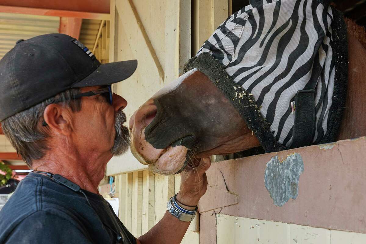 Joe Pimentel got to bring his horses home from their emergency barn at the Amador County Fairgrounds on Friday.