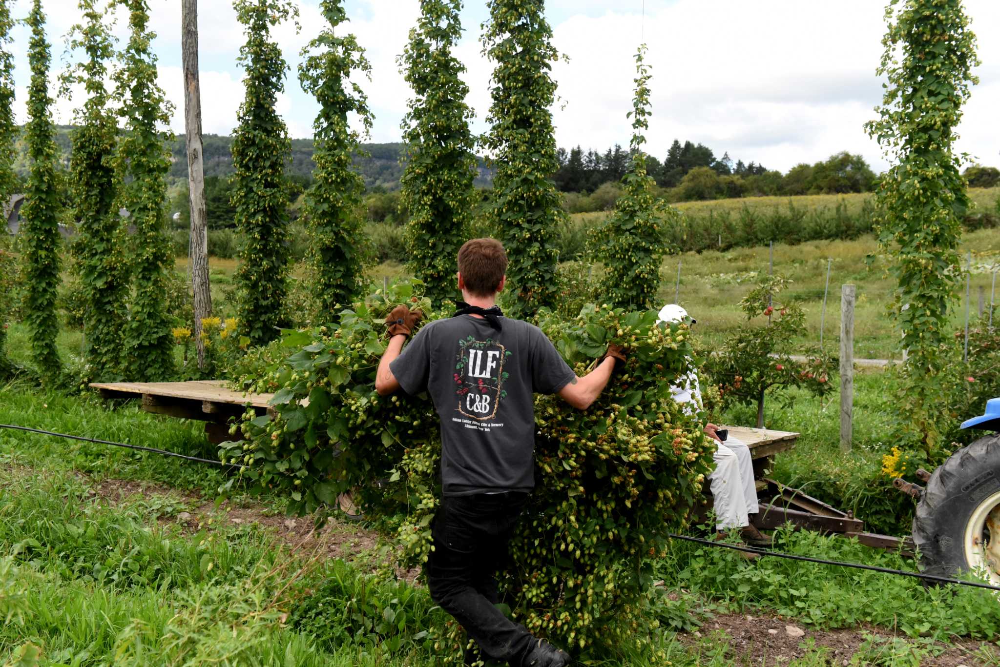Plaza hosting Hops & Harvest Festival on Sept. 14 - Vimarsana News