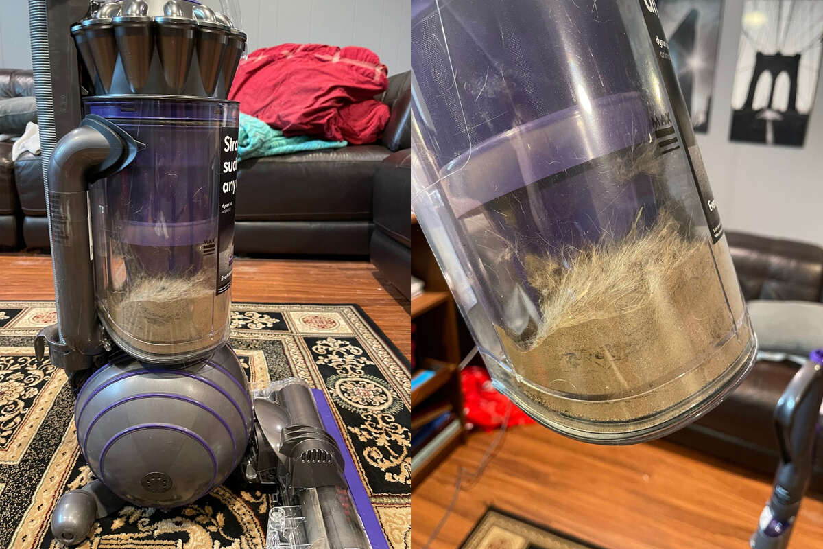 The canister after just five minutes of vacuuming; look at all the fur that my parents' old vacuum never pulled out of the rug.