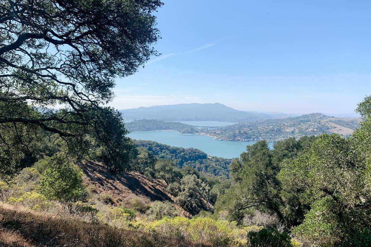 The view looking out toward Tiburon and Mount Tamalpais while hiking the North Ridge Trail to the Sunset Trail that goes up to Mount Livermore on Angel Island on Sept. 8, 2021.