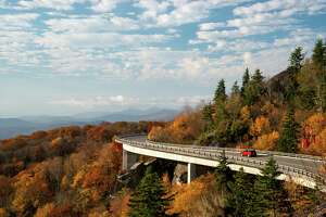 On Blue Ridge Parkway, autumn is for reds