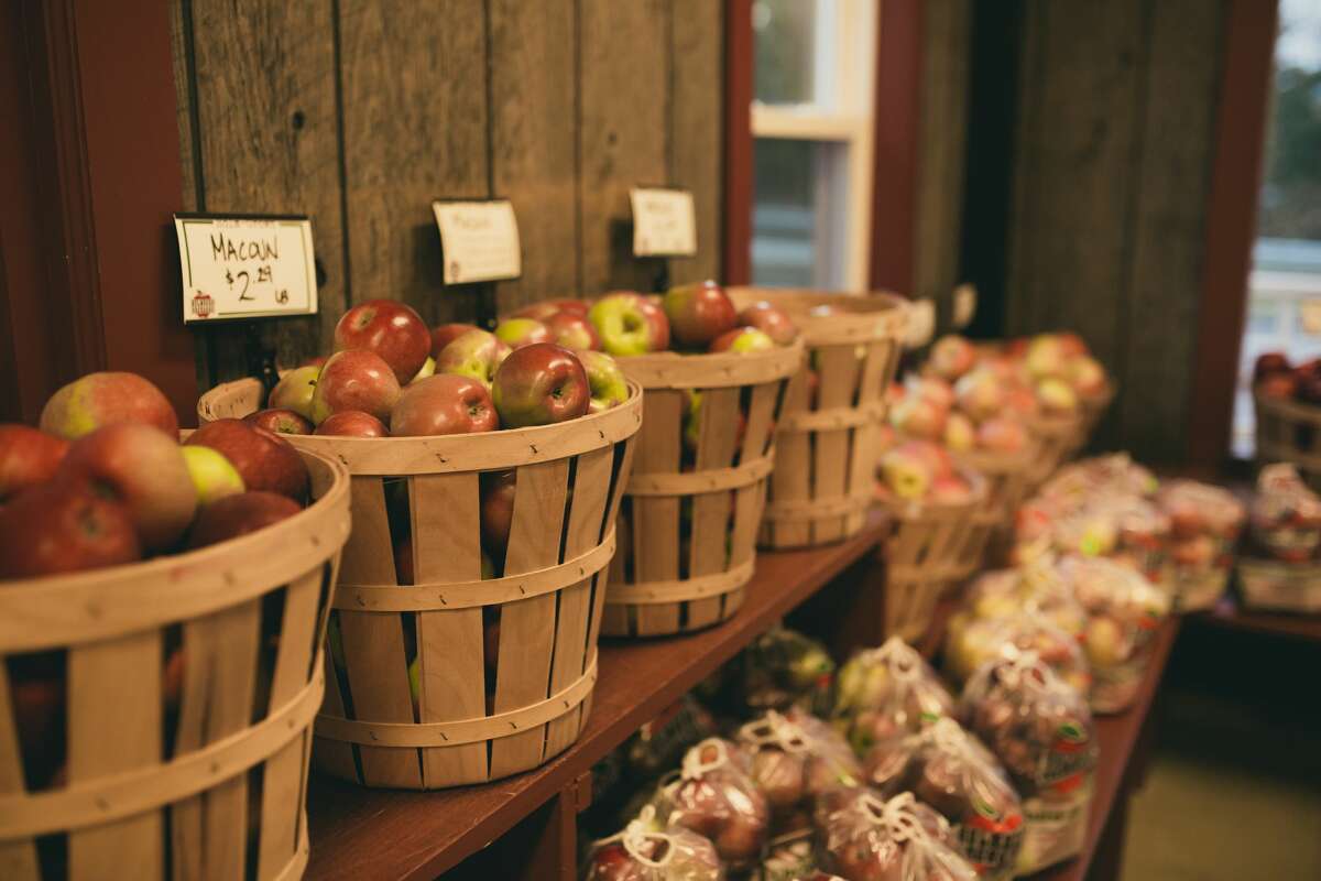 Apples from Holmberg Orchards in Gales Ferry, Conn. 