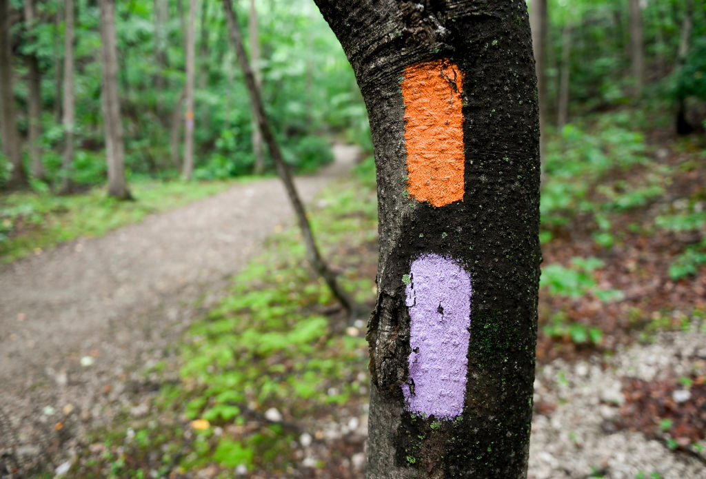 What Color Paint For No Trespassing