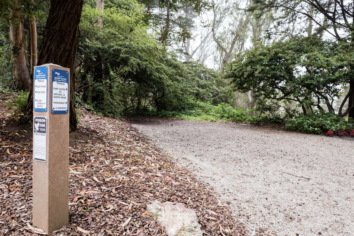 The Fairy Gates trailhead on Mount Sutro on Sept. 19, 2021. The hiking trails on Mount Sutro provide a natural respite in the middle of San Francisco.