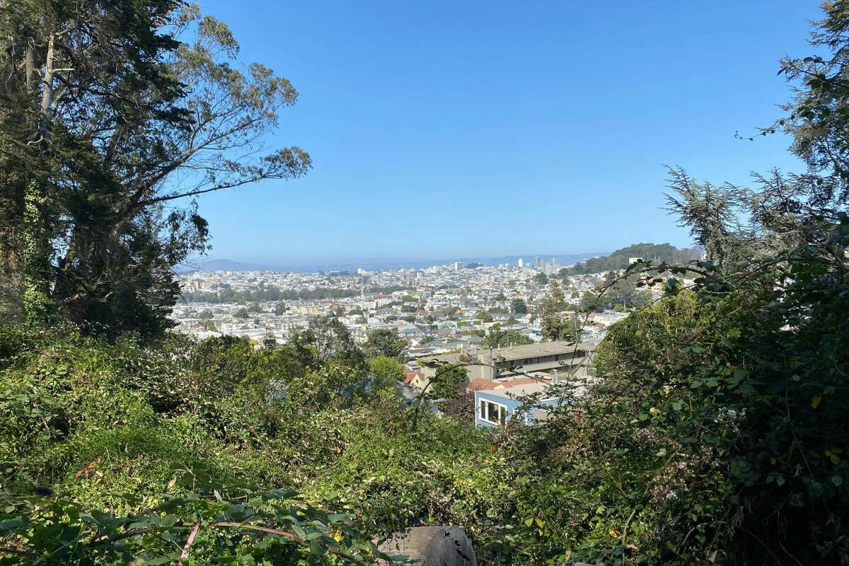 Sunny, clear days offer spectacular views from the top of Mount Sutro. The hiking trails on Mount Sutro provide a natural respite in the middle of San Francisco.