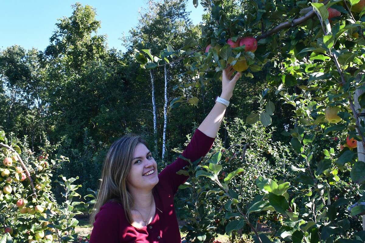 SEEN: Apple Picking at Beardsley Cider Mill 2021