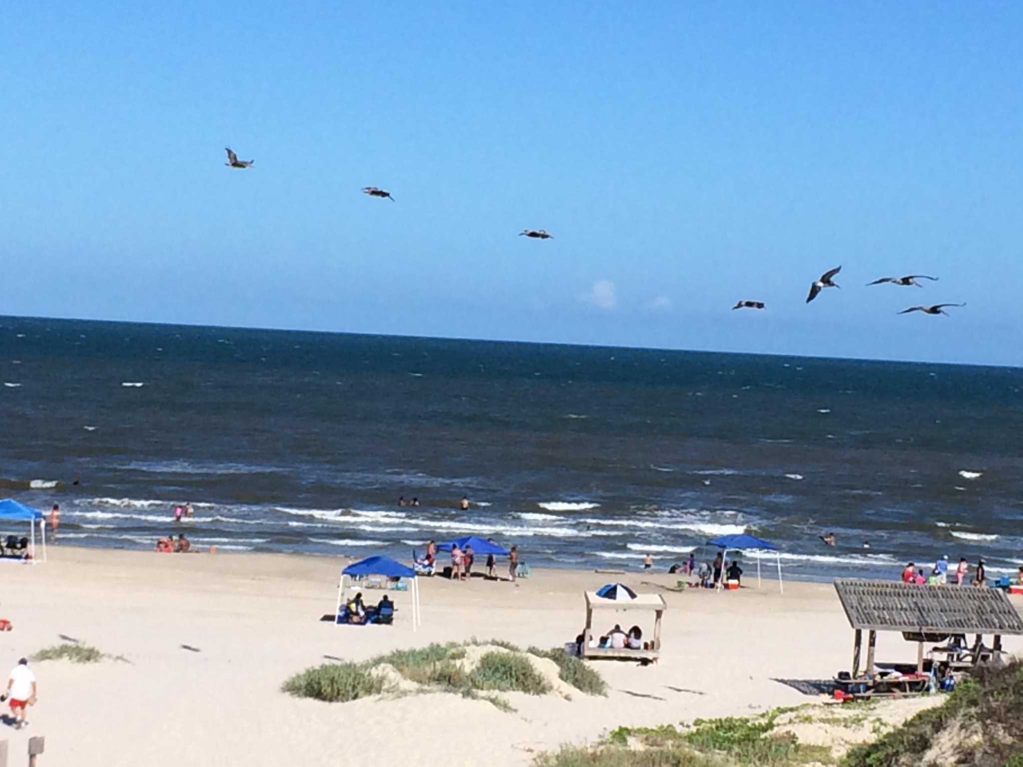 Padre Island named the top place to see October's solar eclipse - Vimarsana News