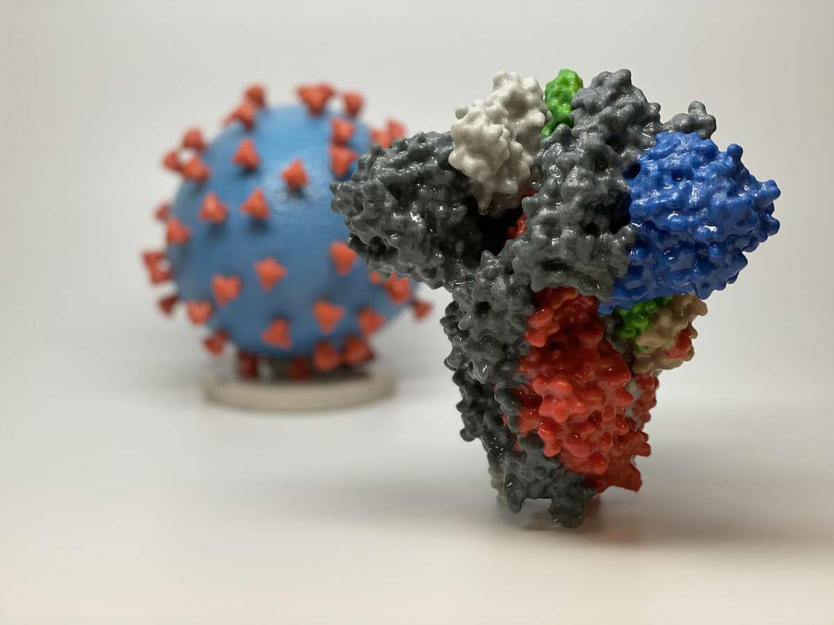 3D print of a spike protein of SARS-CoV-2 also known as 2019-nCoV, the virus that causes COVID-19 in front of a 3D print of a SARS-CoV-2 virus particle. (Photo by: IMAGE POINT FR/NIH/NIAID/BSIP/Universal Images Group via Getty Images)